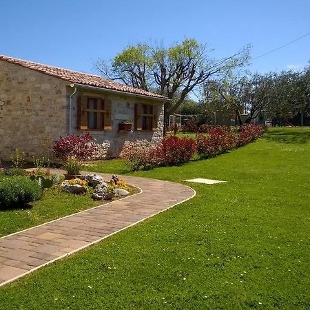 אומאג Holiday House Sweet Home מראה חיצוני תמונה