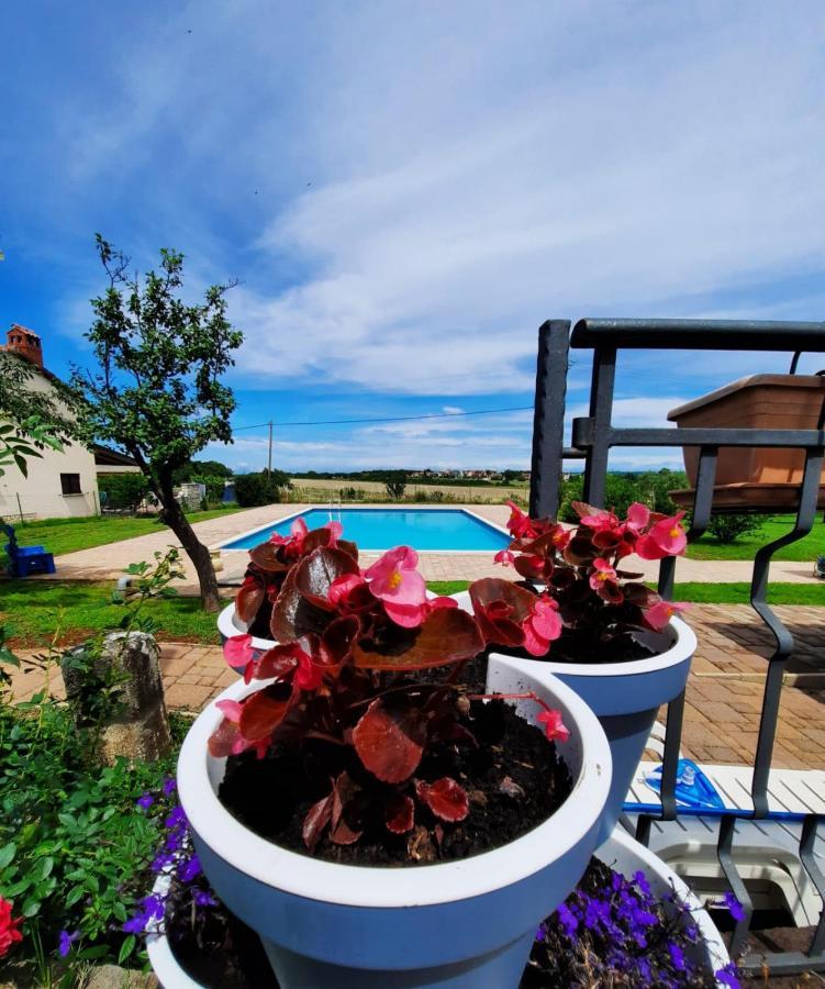 אומאג Holiday House Sweet Home מראה חיצוני תמונה